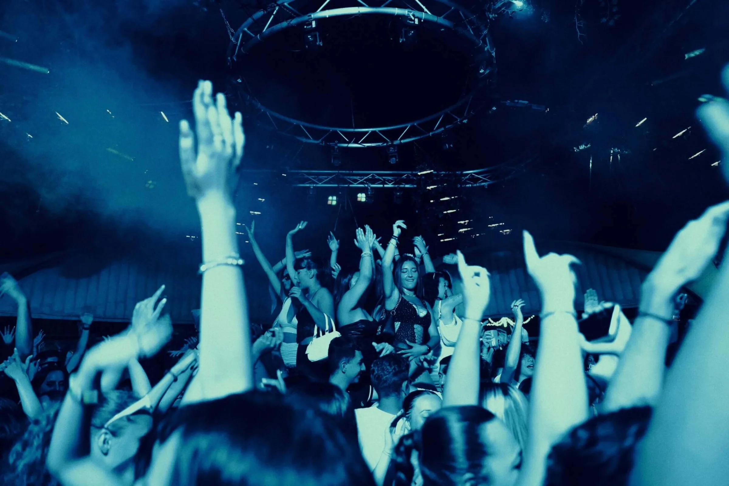 IMS Agency Web Design & Development hero image