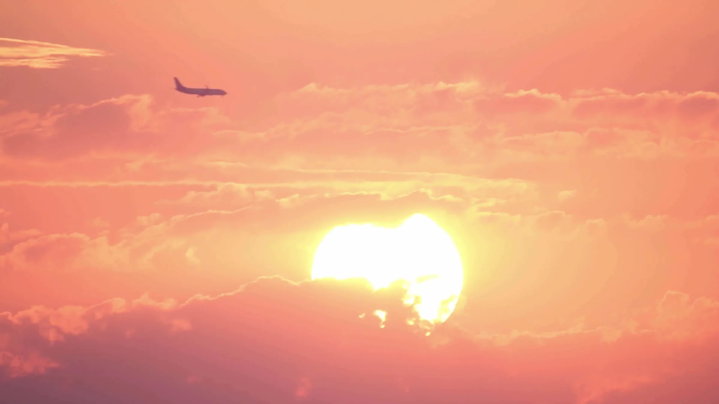 Jester Web Design & Development hero image