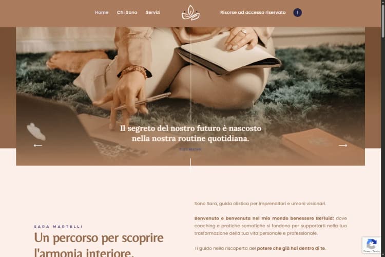 Sara Martelli project preview