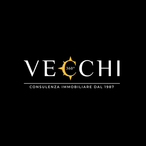 Logo Vecchi360